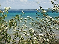 Western Michigan [2010] 565